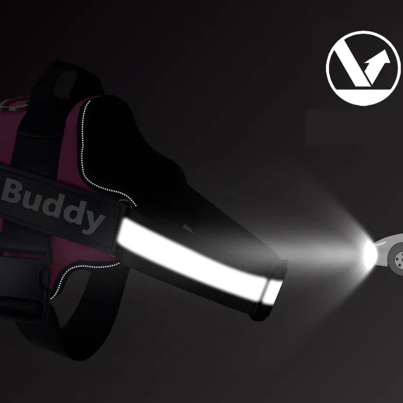 Personalisierte Hundehalsband, bequem