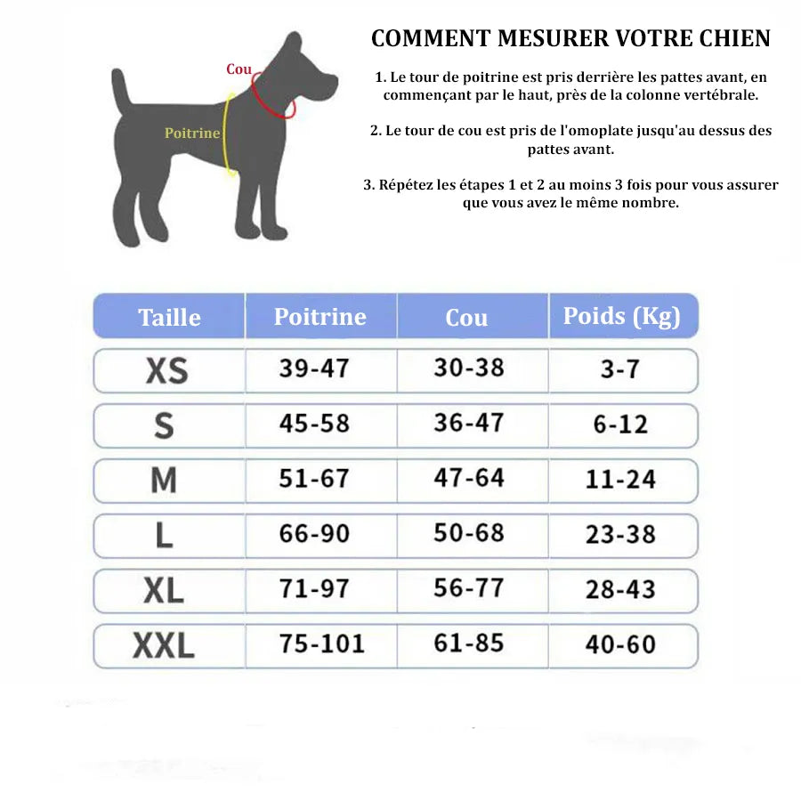 Personalisierte Hundehalsband, bequem