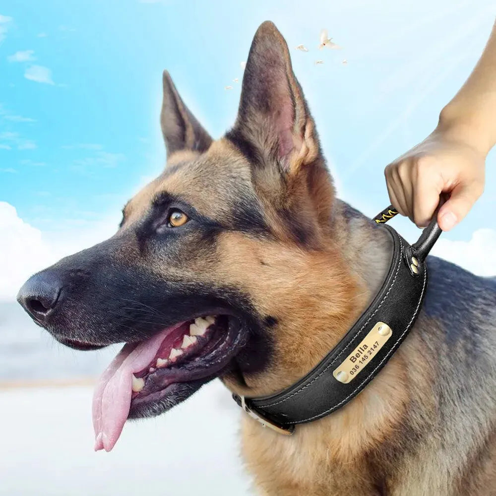 Personalisierte Hundehalsband Geschnitztes Jagdhalsband