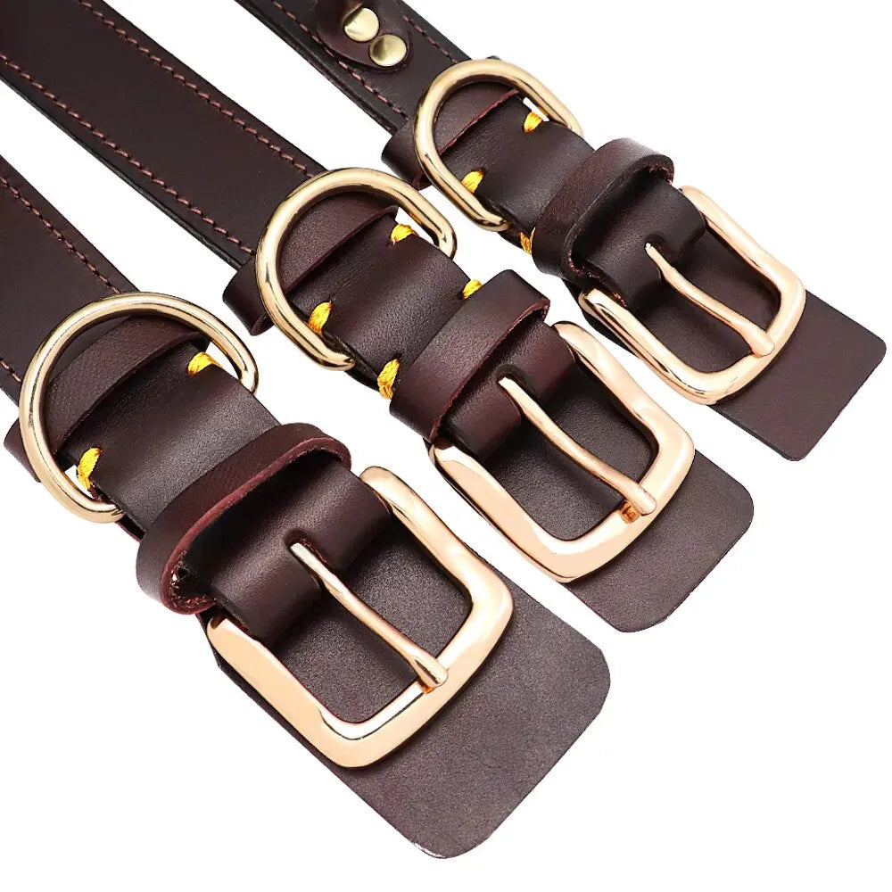 Personalisierte Hundehalsband Geschnitztes Jagdhalsband