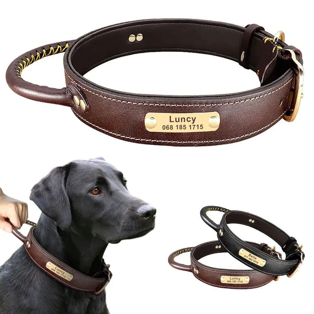Personalisierte Hundehalsband Geschnitztes Jagdhalsband