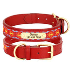 Personalisierte Hundehalsband Graviert