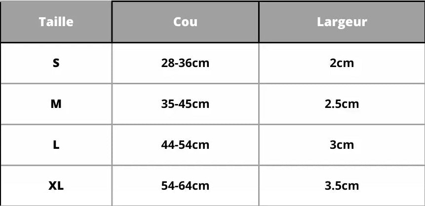 Personalisierte Hundehalsband Graviert