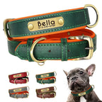 Personalisierte Hundehalsband  Halsband, gravierte Plakette