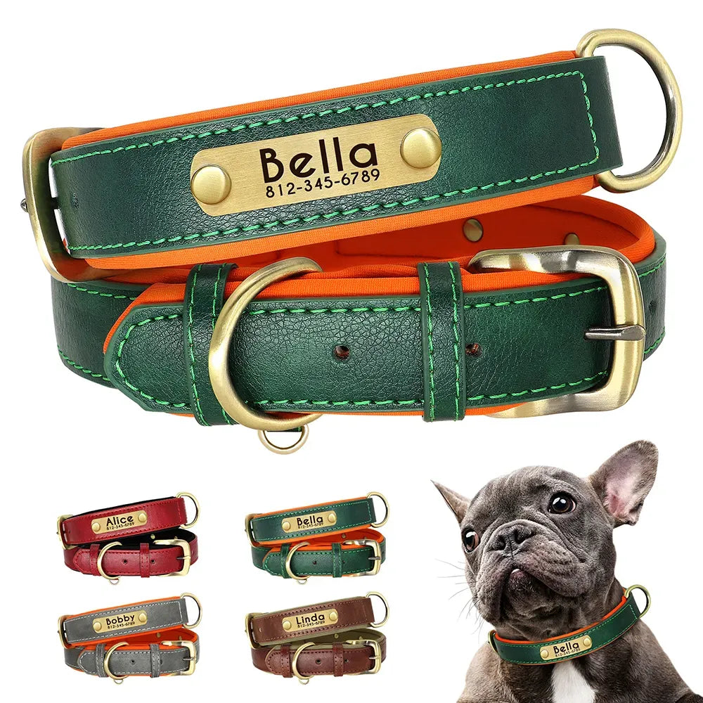 Personalisierte Hundehalsband  Halsband, gravierte Plakette