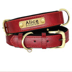 Personalisierte Hundehalsband  Halsband, gravierte Plakette