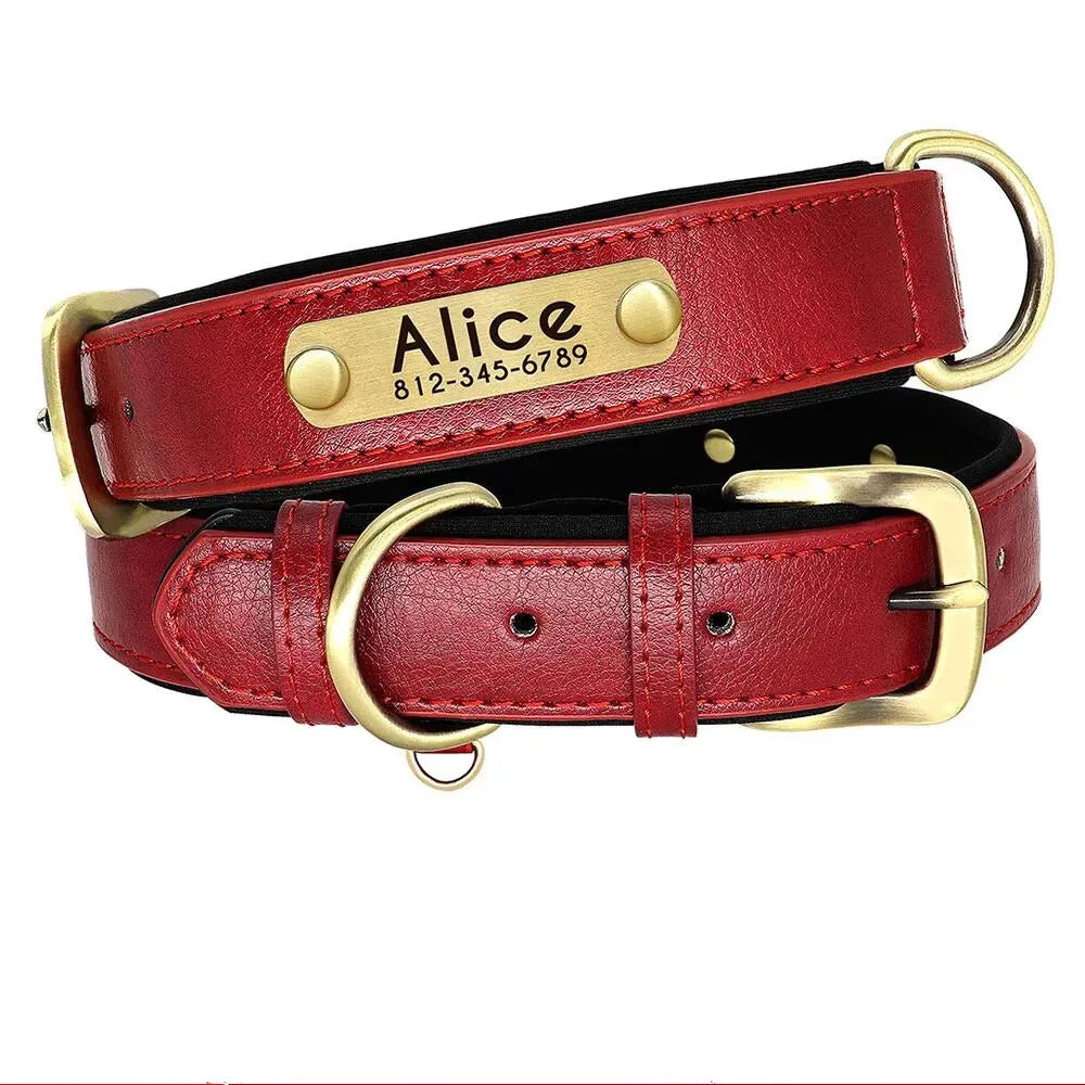Personalisierte Hundehalsband  Halsband, gravierte Plakette