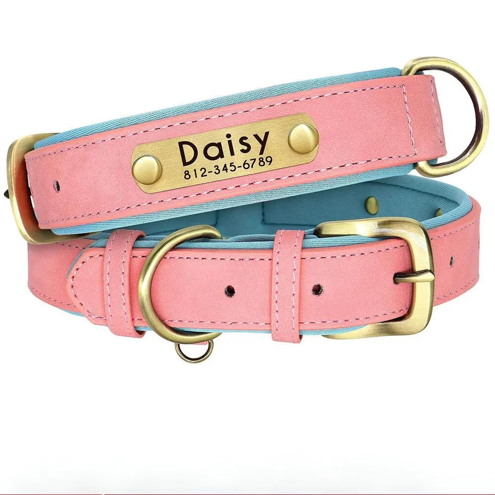 Personalisierte Hundehalsband  Halsband, gravierte Plakette