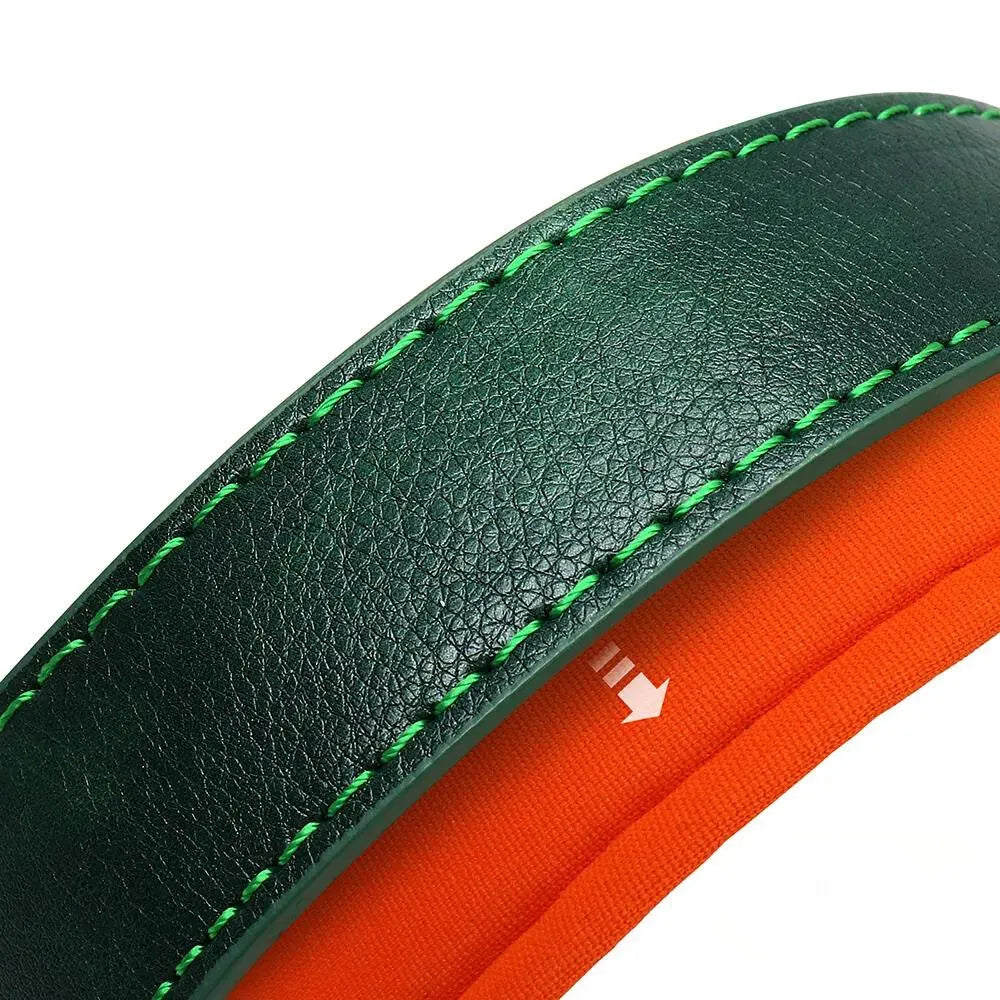 Personalisierte Hundehalsband  Halsband, gravierte Plakette