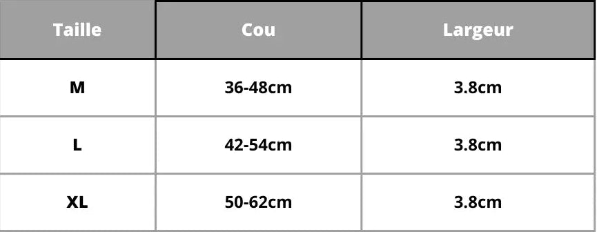 Personalisierte Hundehalsband Large