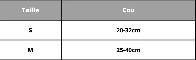 Personalisierte Hundehalsband mit Gravur