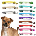 Personalisierte Hundehalsband mit Gravur