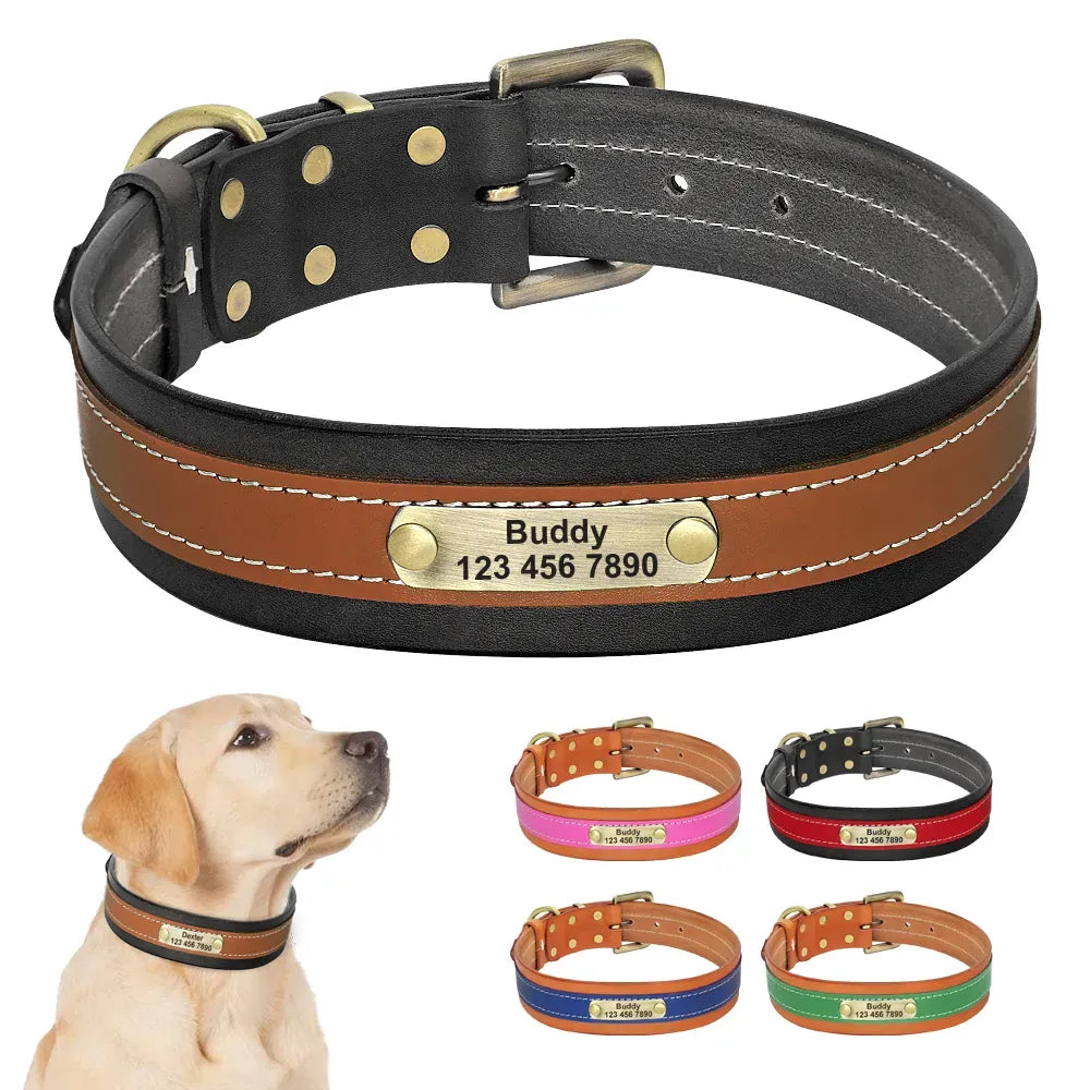 Personalisierte Hundehalsband Mit Namen beschriftet