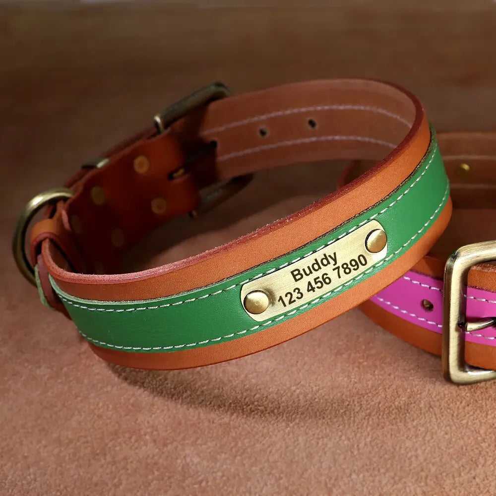 Personalisierte Hundehalsband Mit Namen beschriftet