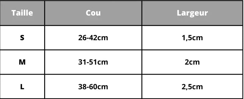 Personalisierte Hundehalsband mit Namensgravur