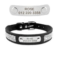Personalisierte Hundehalsband namens