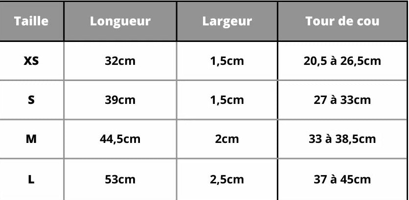 Personalisierte Hundehalsband namens