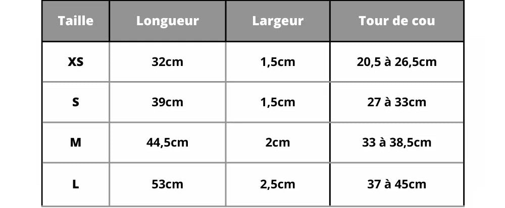 Personalisierte Katzenhalsband mit Namen