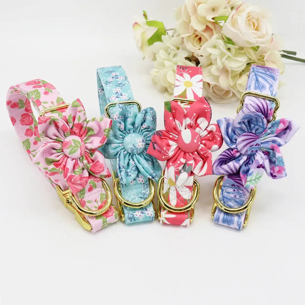 Personalisierte Katzenhalsband Tier