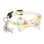 Personalisierte Katzenhalsband und gravierte Medaille