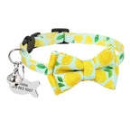 Personalisierte Katzenhalsband und gravierte Medaille