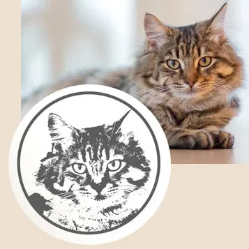 Personalisierter Stempel Name + Foto